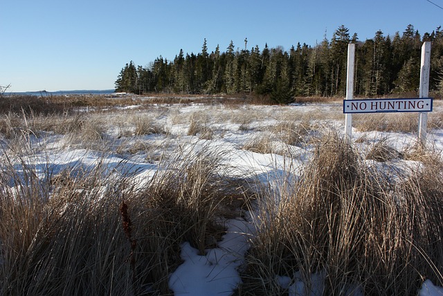 Free Nova Scotia Grass photo and picture