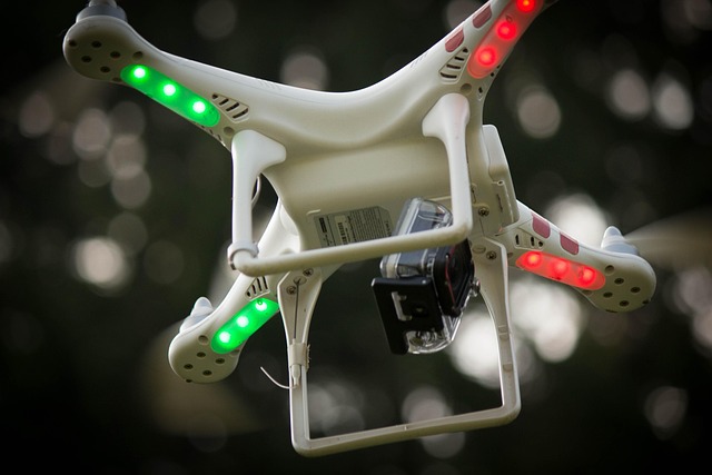 Drone, Overvågning, Flyvning, Natur