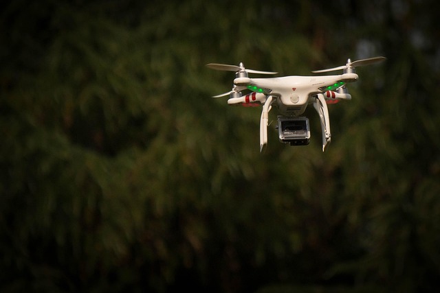 Drone, Overvågning, Flyvning, Natur