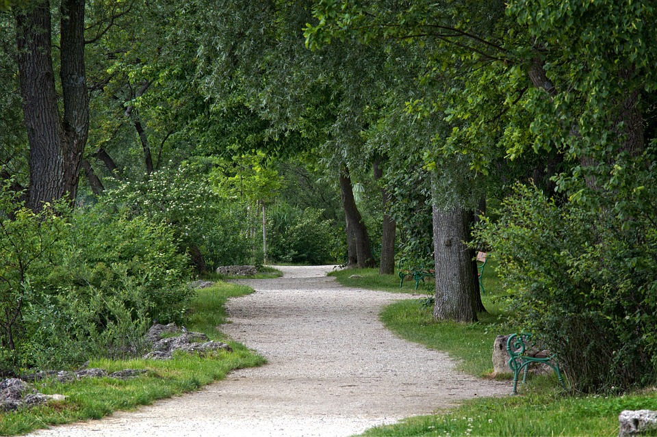 The Trail Can You Craft On The Trail The Trail Can You Craft On The Trail