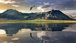 new zealand, landscape, eagle
