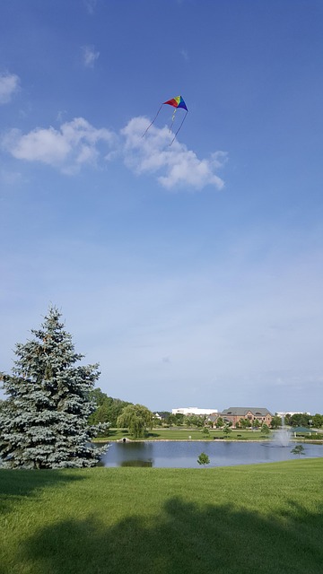 Free Summer Lake photo and picture