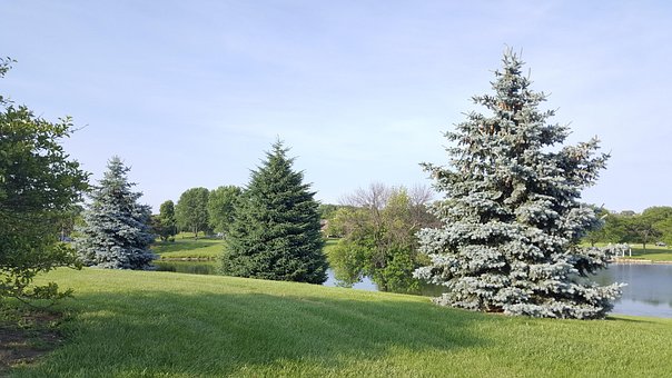 Free Summer Lake photo and picture