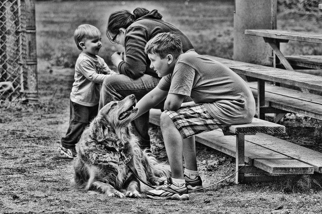 Familie, Kinder, Hunde, Haustiere