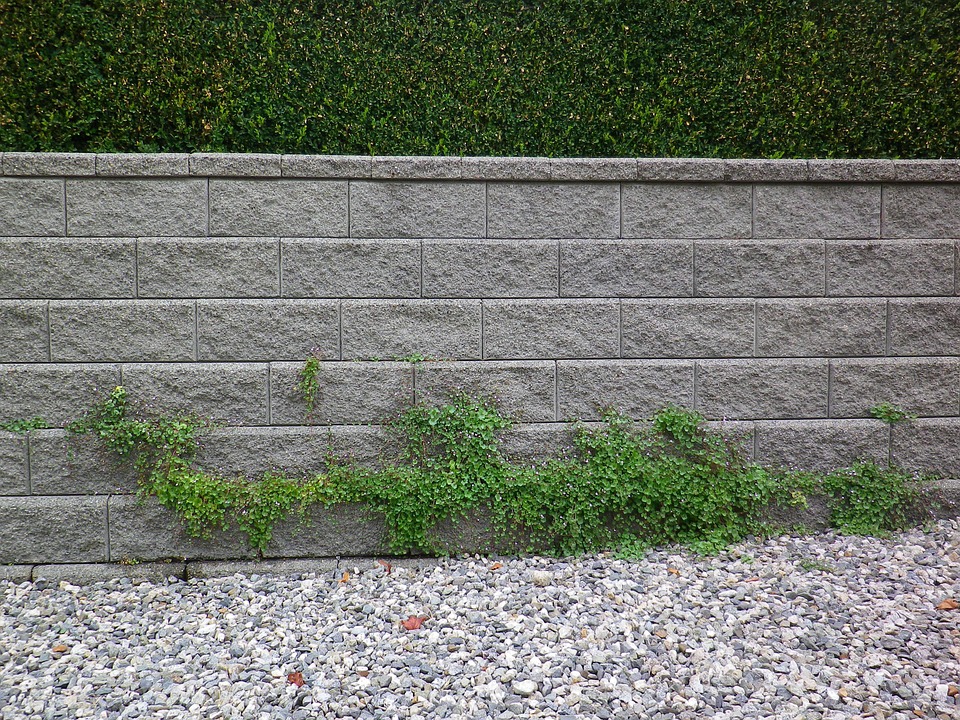 Wall Plants Climbing Free photo on Pixabay Pixabay