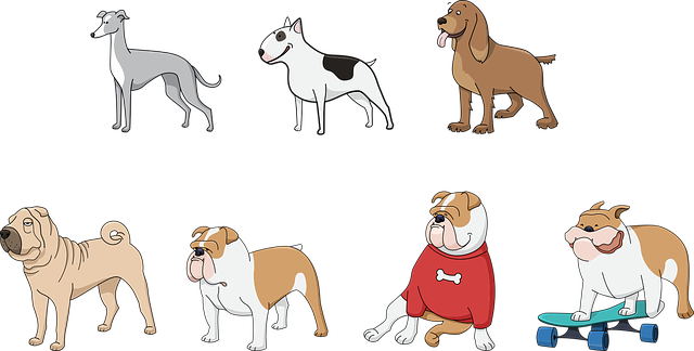 Free dog animals animal illustration