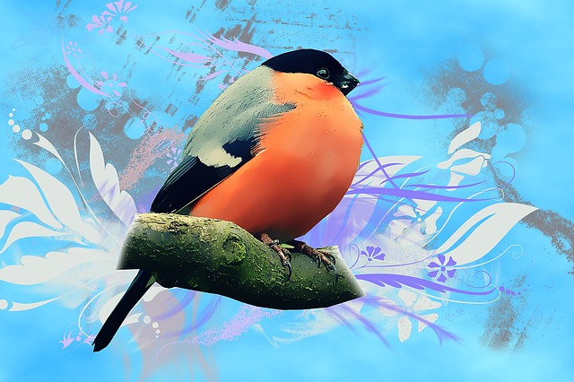 Free Vector Bird illustration and picture
