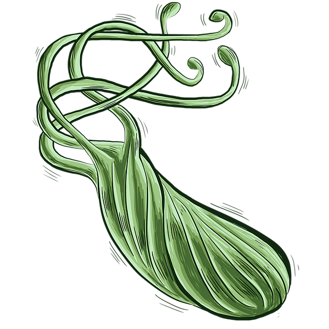 Download free HD stock image of Bacteria Bacterium Free bacteria bacterium heliobacter pylori illustration