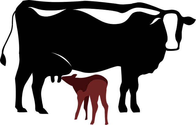 Free cow nature calf illustration