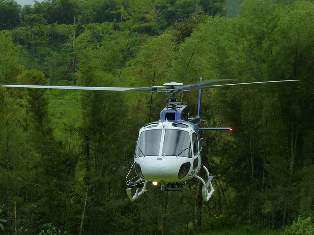 Free Helicopter Flight photo and picture