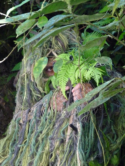 Free Camouflage Jungle photo and picture