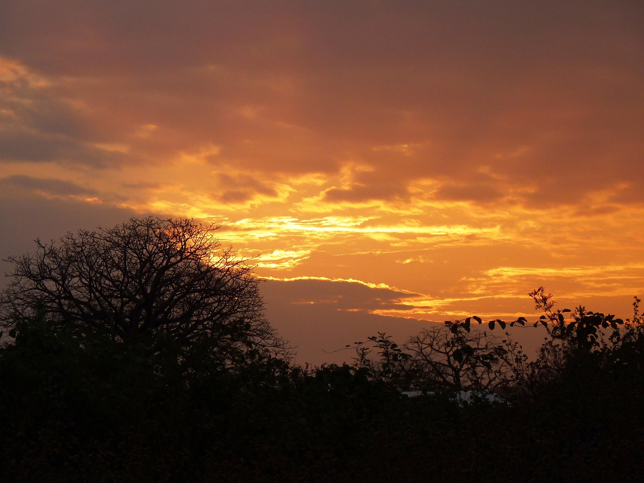 Free Sunset Darling photo and picture