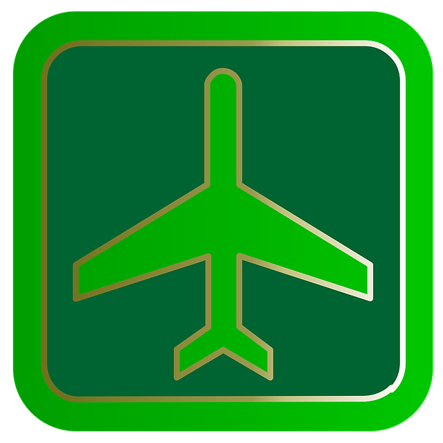 Flug, Fluggesellschaft, Flugzeug, Reisen