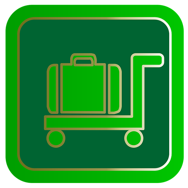 Gepäck, Reisen, Koffer, Tourismus, Reise
