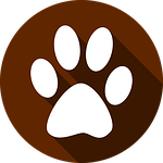 feet, icon, button