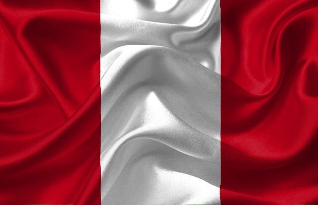 Free peru flag country illustration