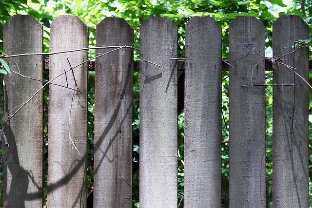 Free Fence Fencing photo and picture