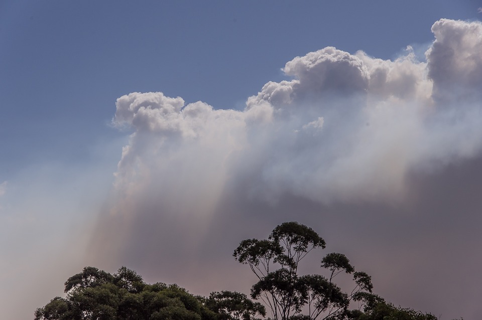 Fumée Des Nuages Feu De Brousse - Photo gratuite sur Pixabay
