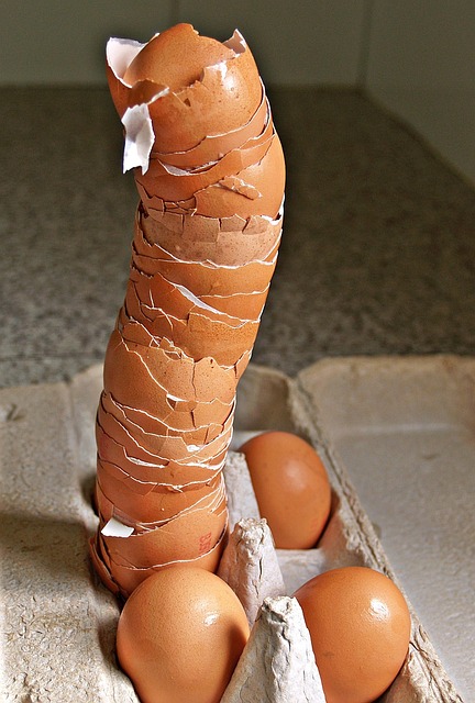 Free Eggshells Tall photo and picture