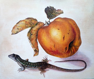 Free Copy Giovanna Garzoni illustration and picture