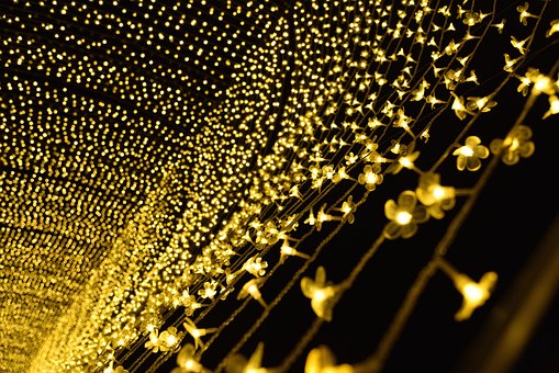 Free Light Night photo and picture