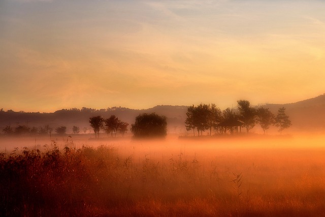 Free Glow Dawn photo and picture