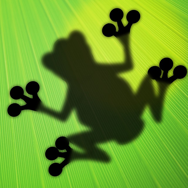 Free frog plant leaf illustration