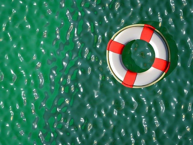 Download free HD stock image of Lifebuoy Swimming Ring Free lifebuoy swimming ring nature illustration