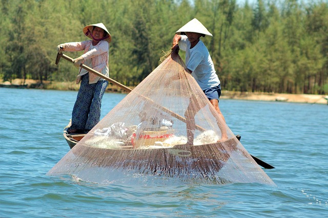 Net Viet Net Viet