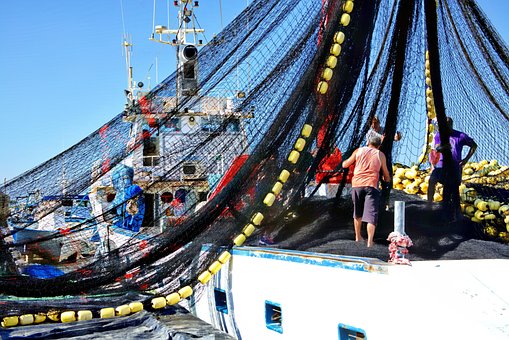 Free Trawler Net photo and picture