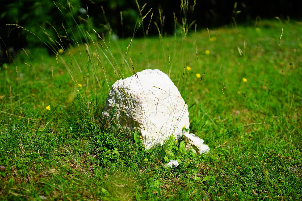 Landmark - free online jigsaw puzzle photo