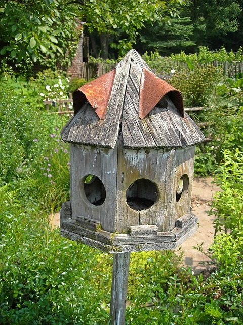 Free Birdhouse Feeding Place photo and picture