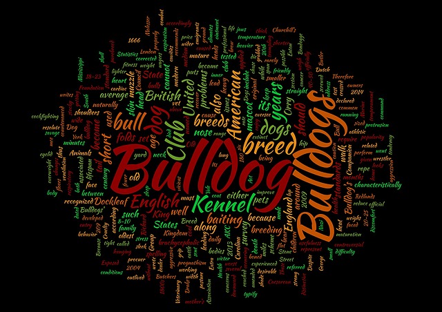 Bulldogge, Wortwolke, Hunderasse