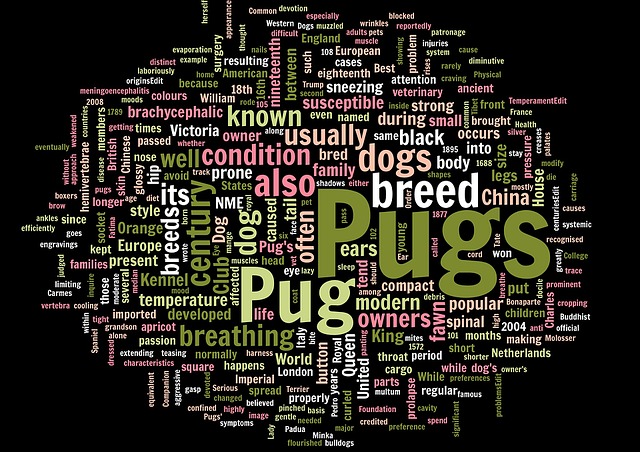 Mops, Wortwolke, Wörter, Stichworte
