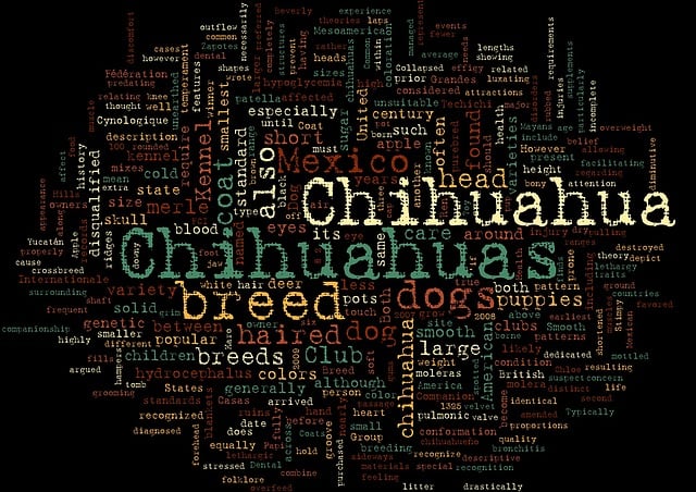 Free chihuahuas pet word cloud illustration