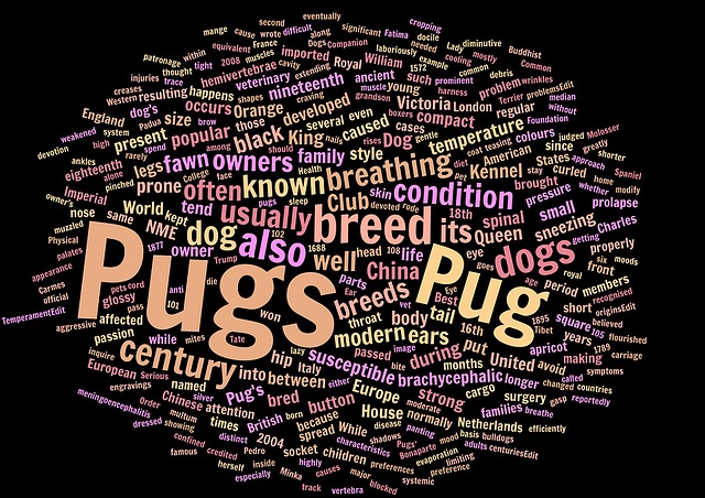 Pugs, Wortwolke, Tier, Haustier