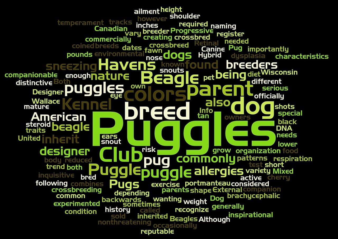 Puggles Text Download Puggle Word Cloud Pet Royalty-Free Stock Illustration Image ...