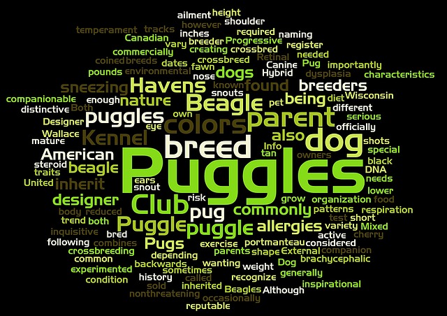 Puggle, Wortwolke, Haustier, Tier, Mops