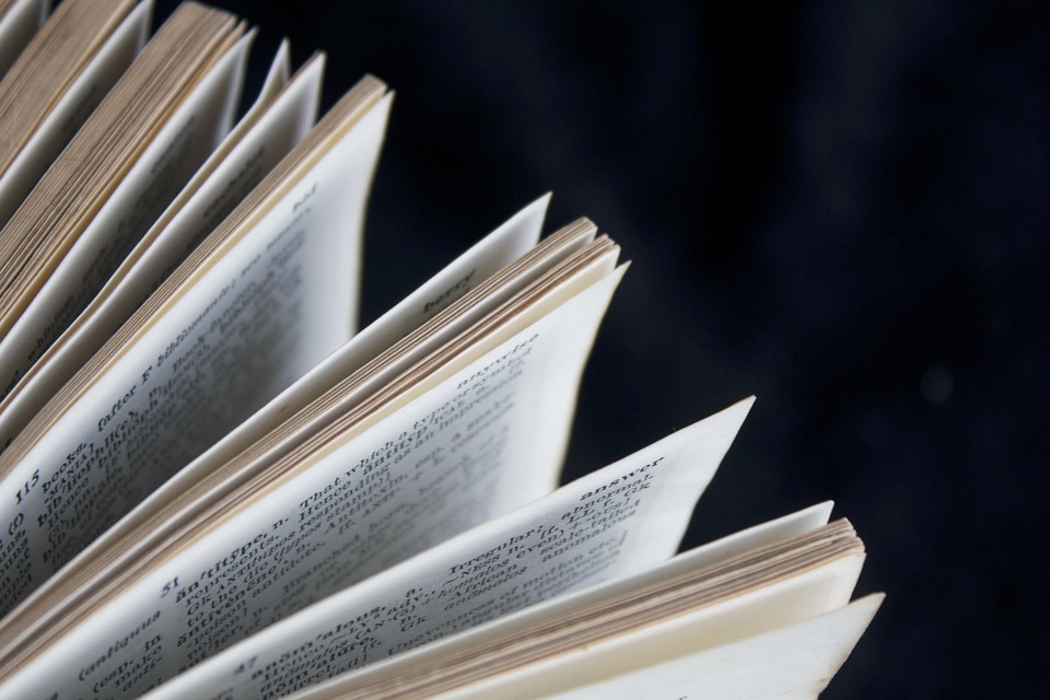 Book Pages Reading - Free photo on Pixabay - Pixabay