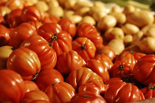 Free Fruit Store Fruit photo and picture