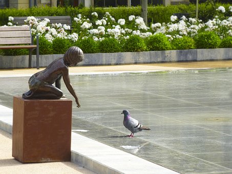 Free Source Bird photo and picture