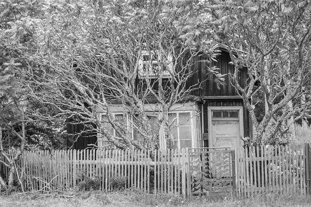 Haus, Verlottert, Alt, Baufällig