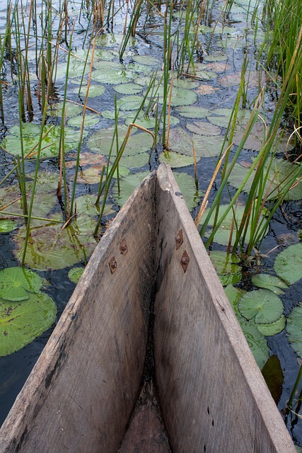 Free Boat River photo and picture