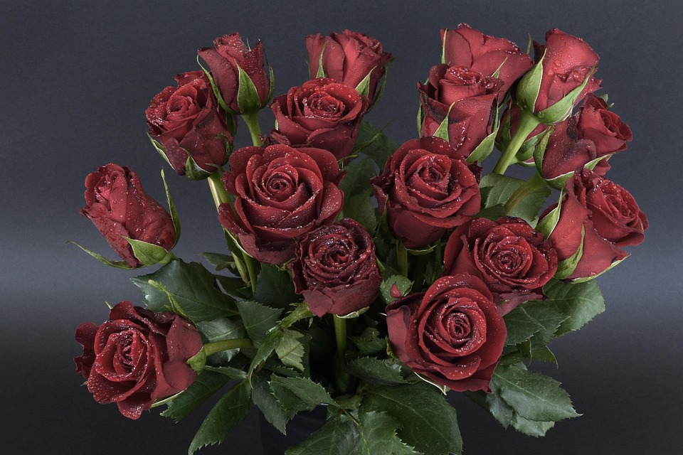 39 Roses Roses Drops Bouquet Of - Free photo on Pixabay - Pixabay