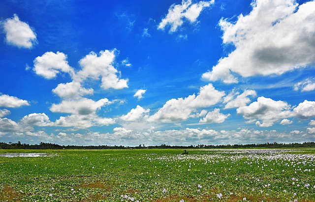 Cielo, Azul, Nubes, Verde