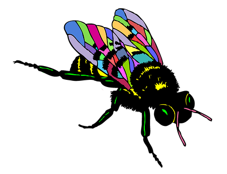 Free Bee Insect illustration and picture
