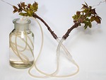 wide neck bottle, hoses, water supply