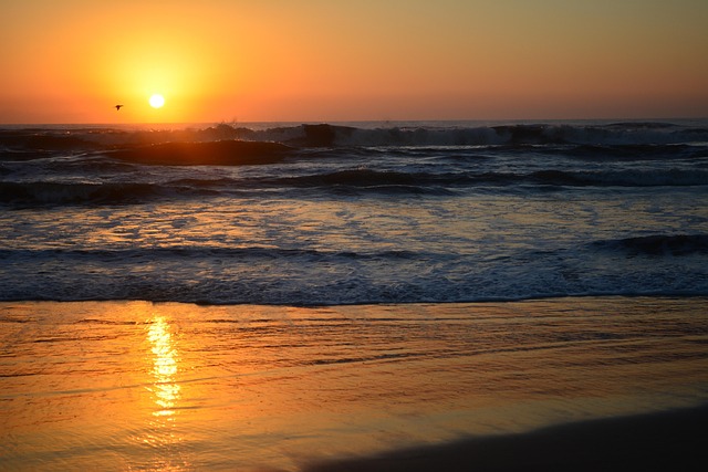 Free Beach Sun photo and picture