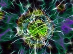 bacteria, pathogen, infection