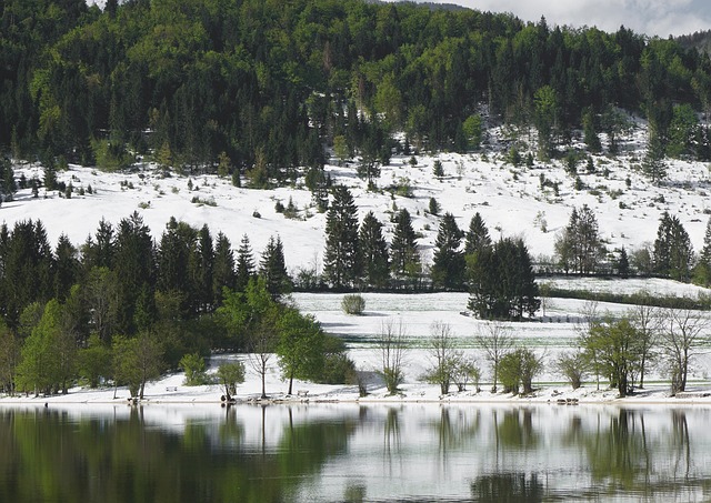 Free Nature Lake photo and picture